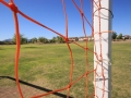 Soccer Field @ Cobblestone Farms in Maricopa
