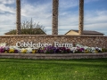 Cobblestone Farms in Maricopa Arizona