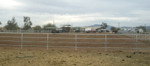 Hidden Valley Homes for Sale in Maricopa AZ 85139 - Maricopa Horse Property