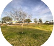 Video: Tortosa Community Entrance in Maricopa AZ – Tortosa Real Estate in Maricopa