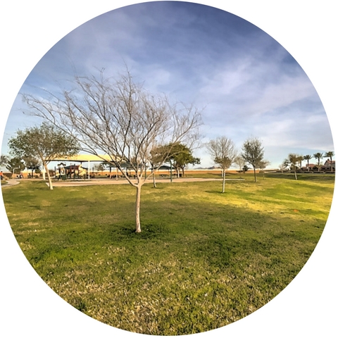 tortosa community park in maricopa az