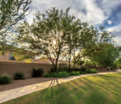 Video: The Villages in Maricopa AZ Features Homes with Greenbelt Views – The Villages Real Estate in Maricopa