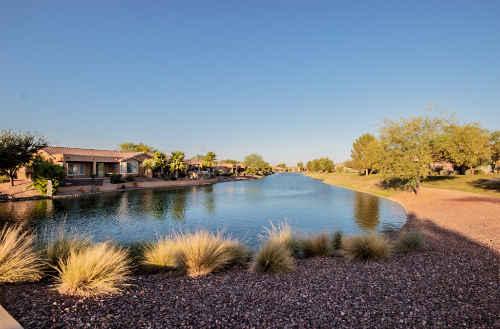 Homes with Lake Views from Lemon Drop Dr in Province, Maricopa Arizona