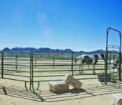Video: The Ranches in Maricopa Arizona – Maricopa Horse Real Estate