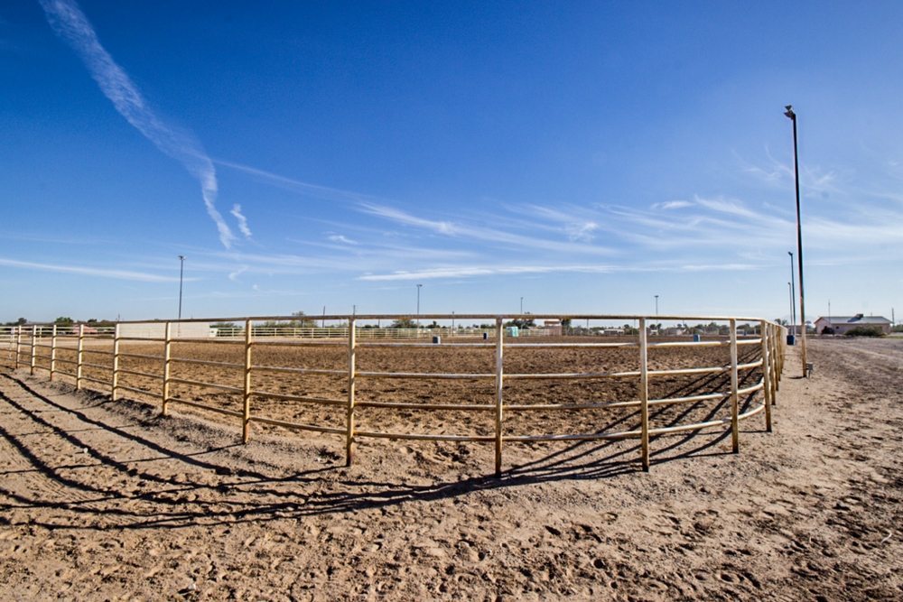 Video: Horse Real Estate on Ralston Rd in Maricopa Arizona