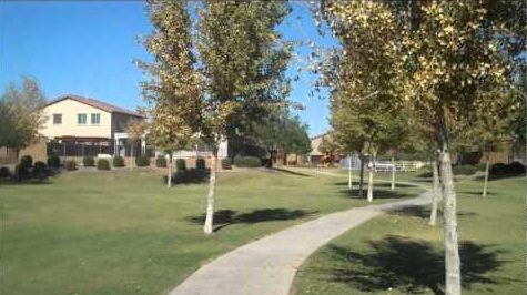 Video: Homes that Border Common Area in Glennwilde Groves, Maricopa Arizona