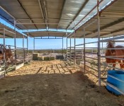 Video: Horse Properties on Barrel Rd in Hidden Valley, Maricopa Arizona