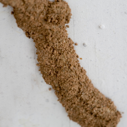 Video: Evidence of Termites in Maricopa Arizona!