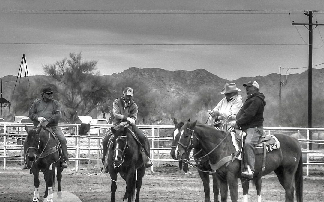 Video: Horse Properties @ The Ranches in Maricopa Arizona