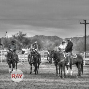 maricopa horse properties