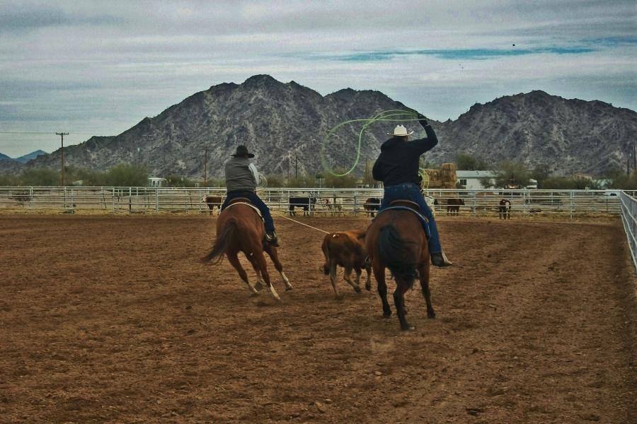 Video: Team Roping in Maricopa Arizona – Maricopa AZ Horse Real Estate