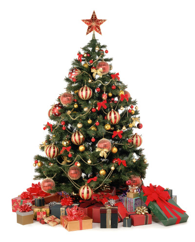 Drop-Off Your Christmas Tree in Maricopa Arizona