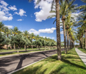 Video: Rancho El Dorado (Golf) Subdivision Tour in Maricopa Arizona 85138