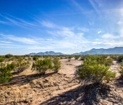Land for Sale in Maricopa Arizona – Maricopa Arizona Lots & Land Real Estate