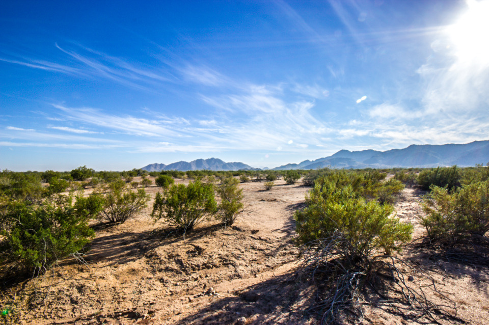Land for Sale in Maricopa Arizona – Maricopa Arizona Lots & Land Real Estate