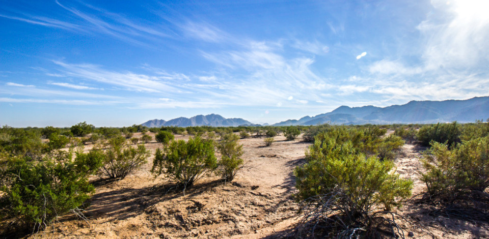 Maricopa Arizona Horse Properties for Sale with 5 Acres and More