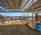 Horse Properties with a Pool for Sale in Maricopa Arizona