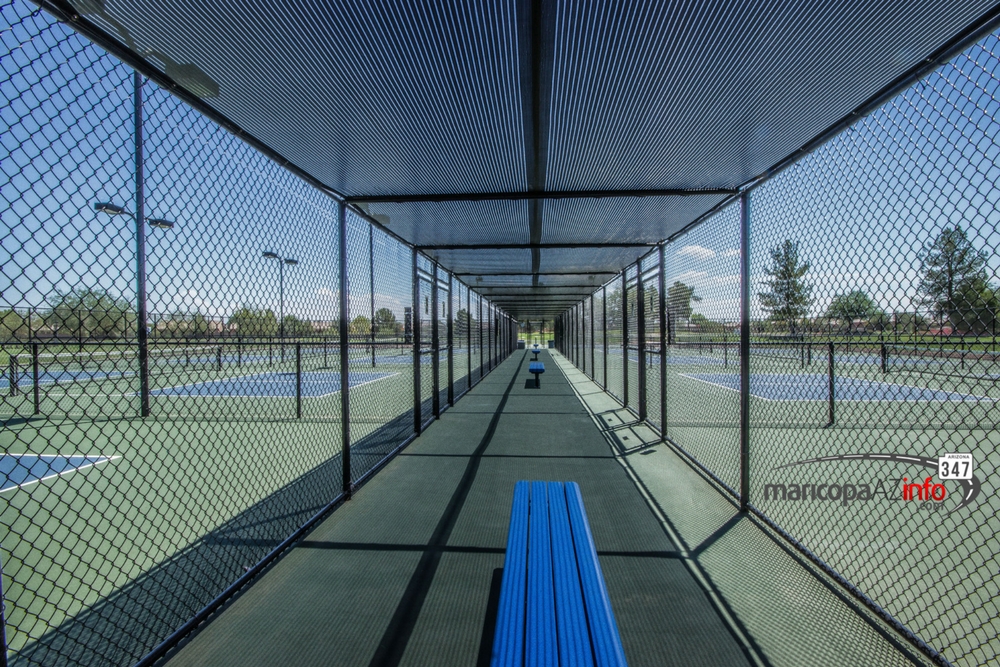 Tennis & Pickle in Province - Province Maricopa Arizona Real Estate