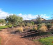 Province Maricopa Arizona Real Estate – Greenbelt View in Province