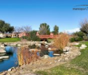 Bridges in Province – Province Maricopa Arizona Real Estate