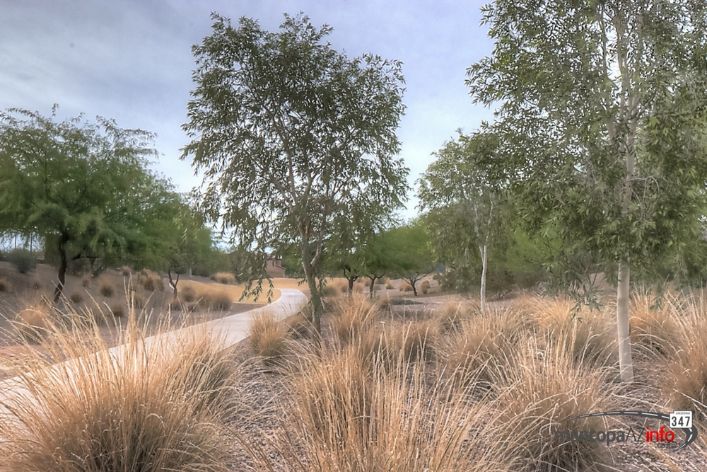 Maricopa Arizona - Glennwilde walking path