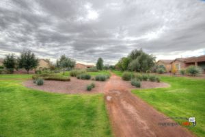 Greenbelt Views in Province Maricopa Arizona - Province Maricopa Real Estate