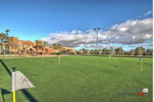 Putting Green in Province - Province Real Estate in Maricopa Arizona