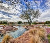 Lake View by Province Parkway in Maricopa Arizona – Province Maricopa AZ Real Estate