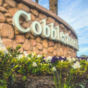Cobblestone Farms real estate in Maricopa Arizona
