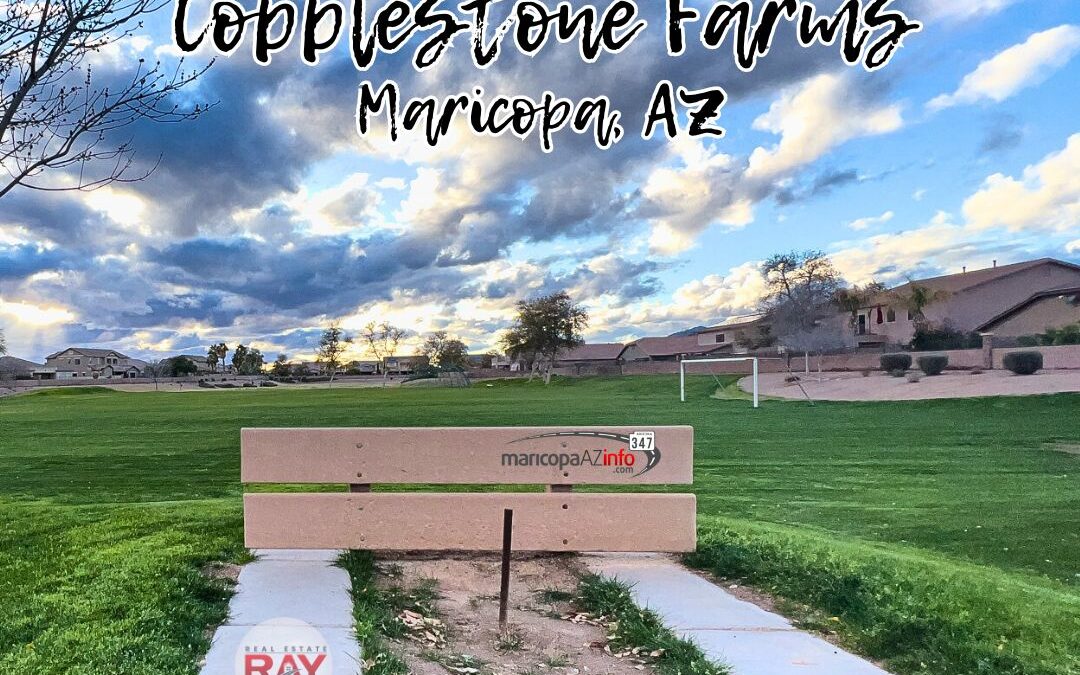 Video: Horseshoes in Cobblestone Farms, Maricopa Arizona