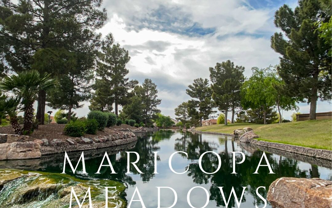 Video: Lake @ Front Entrance in the Subdivision of Maricopa Meadows