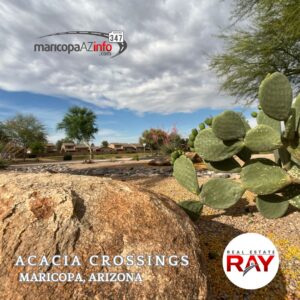 Acacia Crossings homes for sale in Maricopa Arizona