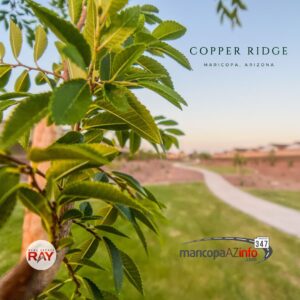 Copper Ridge homes for sale Maricopa Arizona, Ray Del Real, real estate RAY, maricopa real estate agent realtor
