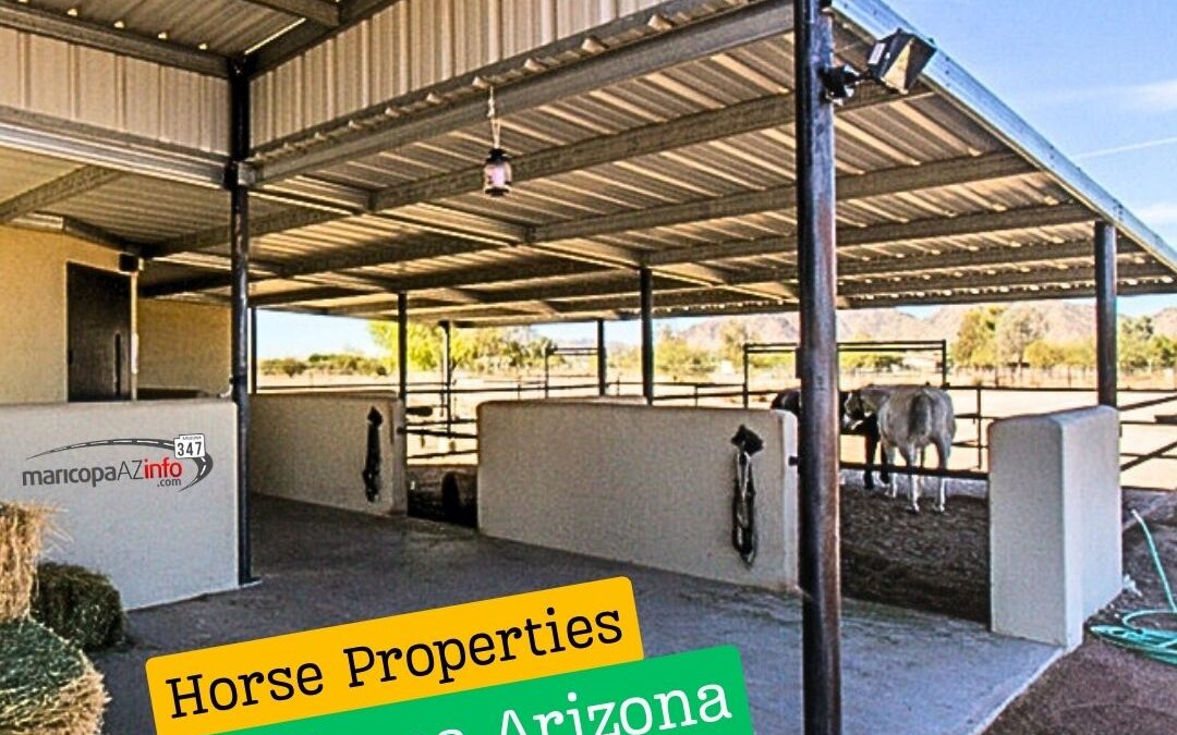 Video: End of Warren Rd in Maricopa Arizona | Maricopa Horse Properties