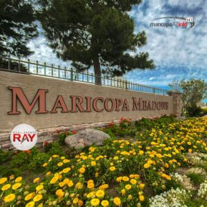 maricopa meadows homes for sale in Maricopa Arizona, maricopa arizona homes for sale in maricopa meadows