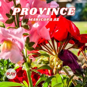 Province in Maricopa Arizona