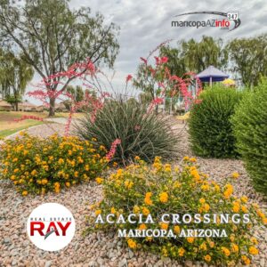 Acacia Crossings in Maricopa AZ | Gallery | Ray Del Real, “real estate” RAY, Maricopa AZ Real Estate Agent