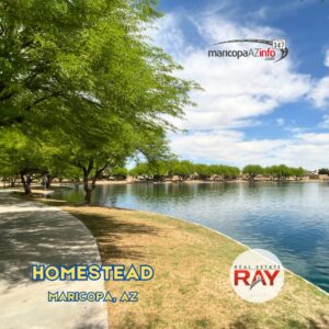 Homestead in Maricopa Arizona, real estate RAY, Ray Del Real (1)
