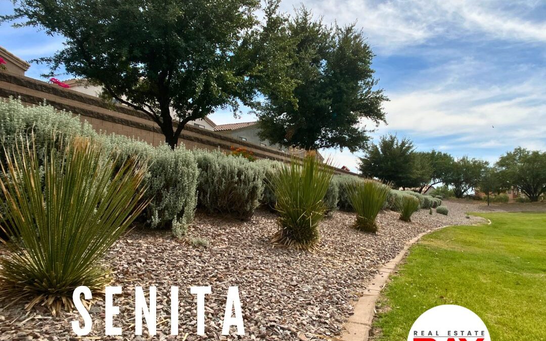 Video: The Front Entrance of Senita in Maricopa Arizona