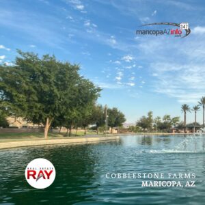 Cobblestone Farms in Maricopa AZ, “real estate” RAY, Maricopa Arizona Real Estate Agent, REALTOR®