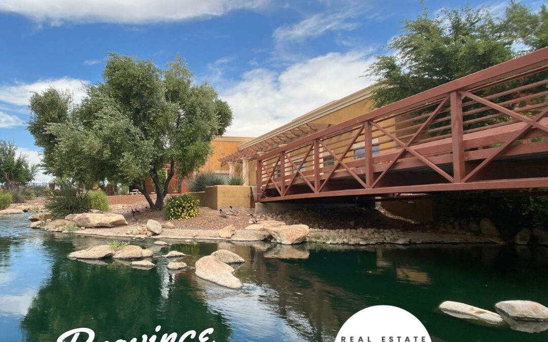 Bridge in Province |  Province Maricopa Arizona Real Estate