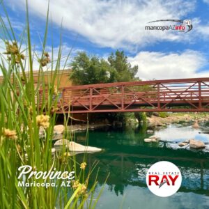 Province Maricopa Arizona, “real estate” RAY, Maricopa Arizona Real Estate Agent, REALTOR®