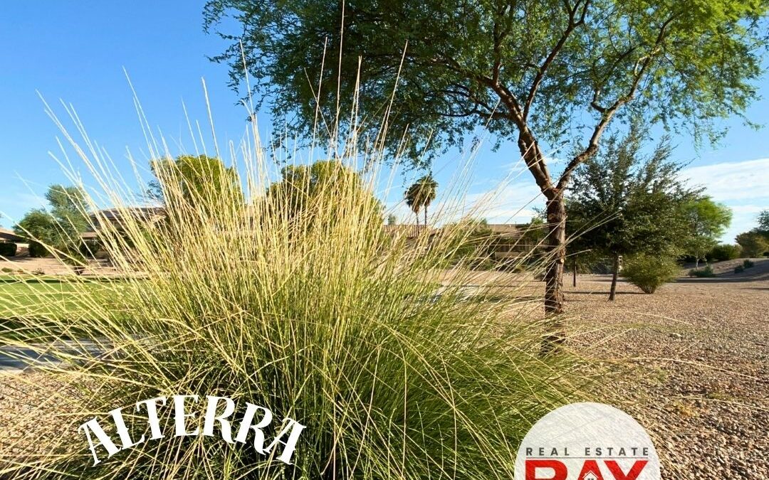 Subdivision of Alterra in Maricopa AZ is NOT Fully Developed