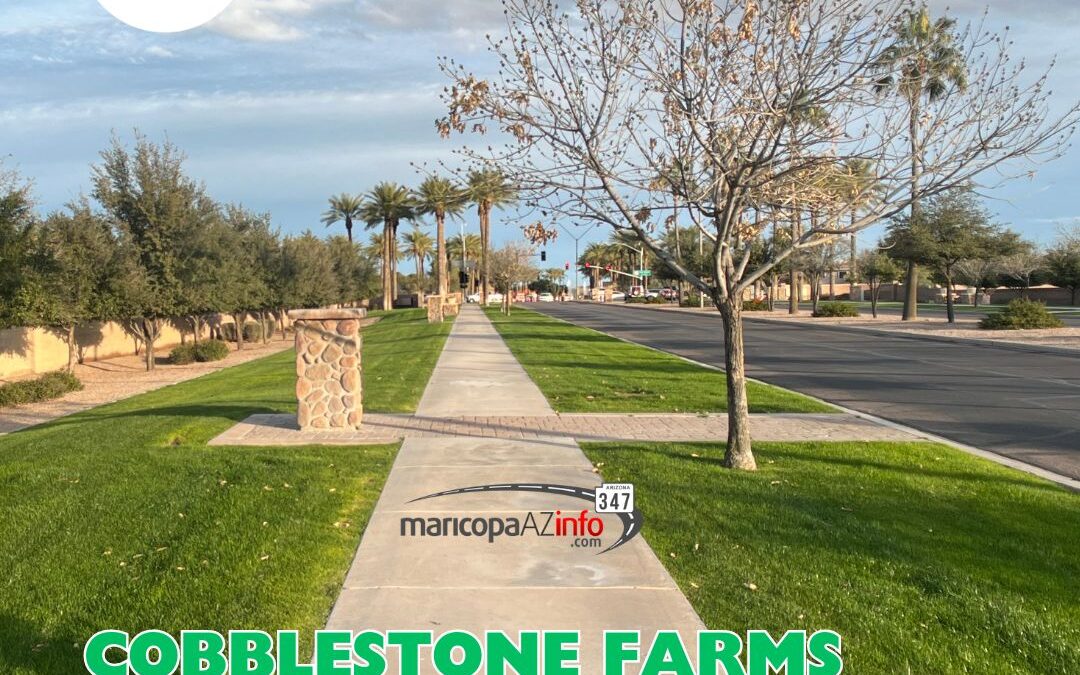 Video: Cobblestone Farms Community Tour in Maricopa AZ 85139