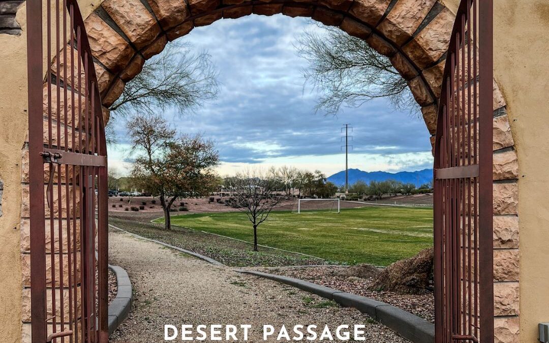 Desert Passage Community Tour in Maricopa Arizona