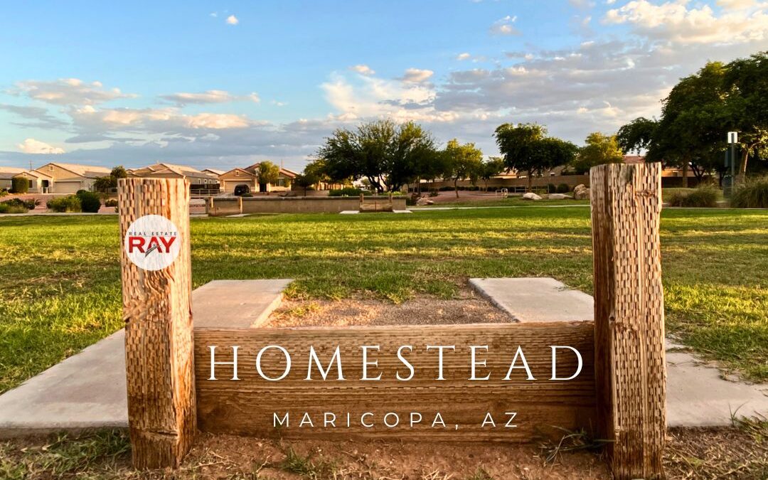 HOA Information | Homestead in Maricopa Arizona HOA