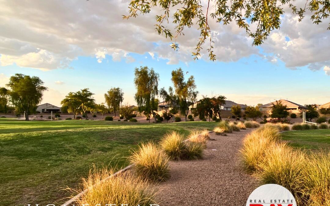 Video: Homestead Community Tour in Maricopa Arizona 85138