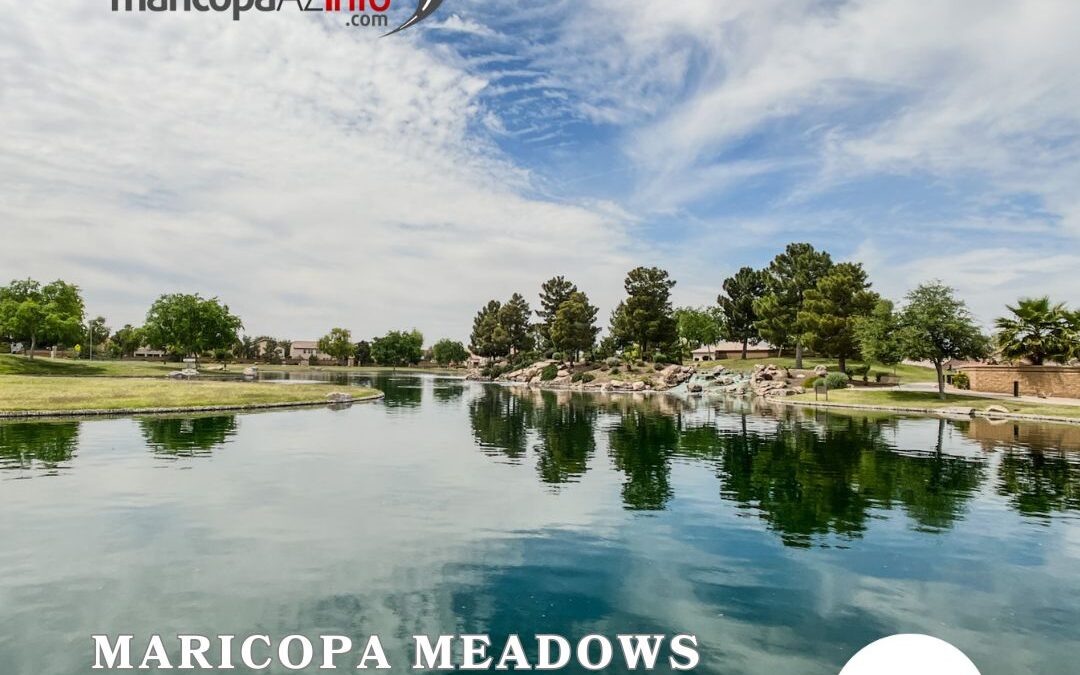 HOA Information | Maricopa Meadows HOA in Maricopa Arizona