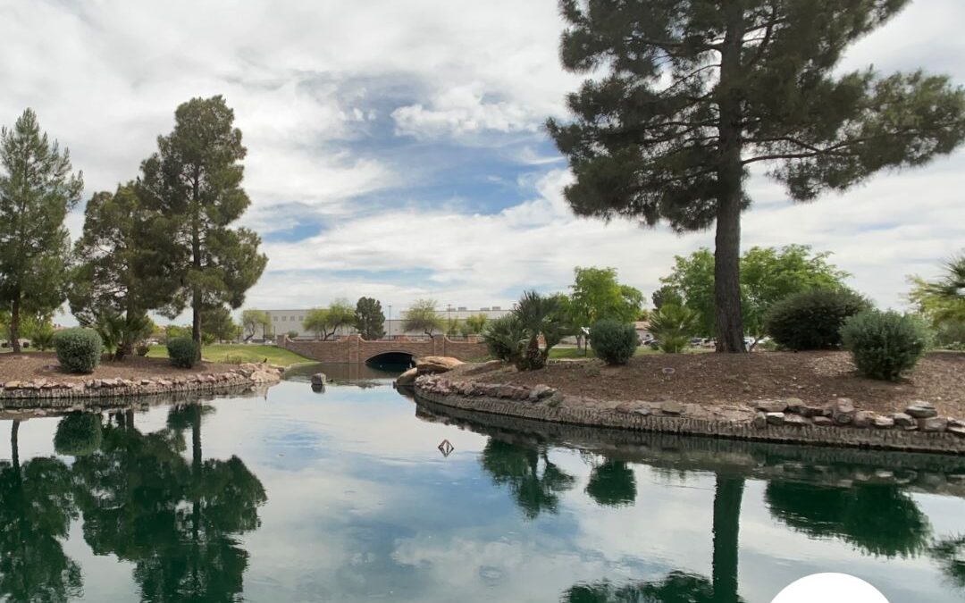 Video:  Lake Views in Maricopa Meadows | Maricopa AZ