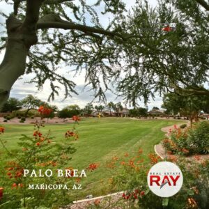 Palo Brea Maricopa Arizona, Palo Brea Maricopa AZ